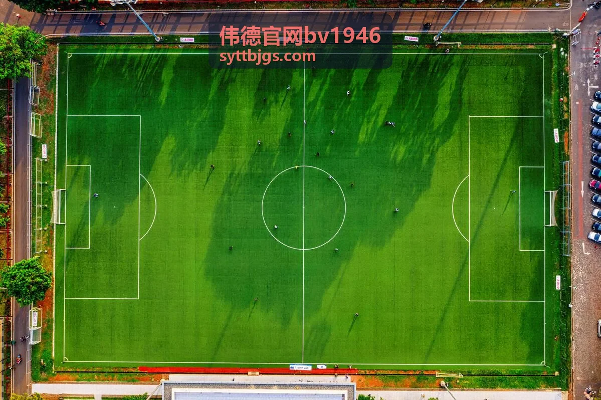 伟德官网bv1946赛事数据速查页面展示